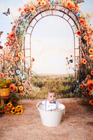 {N} PMC (6mos) 03/02/2025 CK/AM PP