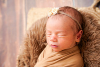 {A} AWU 11/04/2025 HB/AM PP