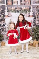 {A} MINI 12/23/2025 ARS/JS PP