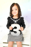 {J} MINI 1/13/2026 JS/ML PP