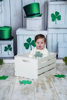 {L} MINI 03/10/2026 RLE/KR PP