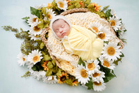 {M} NBC 04/20/2026 JR/EY PP