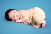 {F} GNB  06/11/2026 JR/AUC PPP