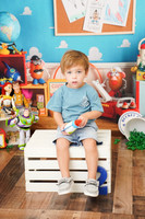 {T} MINI 07/20/2026 JS/AM PIF