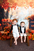 {H} MINI 08/18/2026 NL/AM PP