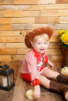 {J} MINI 08/28/2026 JS/ML PP