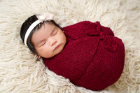 {Y} FREE SESSION 01/24/2025 HB/ML PP