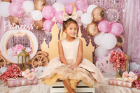 {I} MINI 08/20/2025 ARS/AM PP