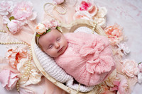 {L} NBP 06/18/2025 HB/EB PP