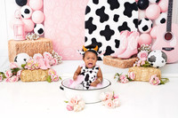 {S} MINI 08/22/2025 ARS/CC PP